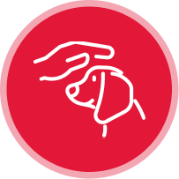 A white outline of a hand gently petting a dog's head, displayed on a red circular background with a light pink border, representing trusted dog hotel services.